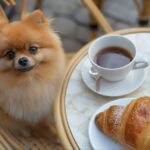 Fun-filled Pet-friendly Events Across the UAE