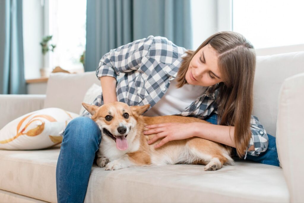 Pet Events