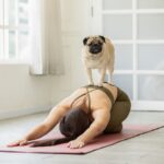 UAE Pet-Friendly Fun this Weekend